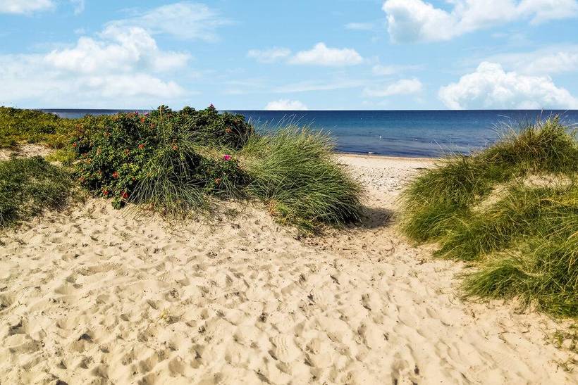 Foto von Ferienhaus TG89 in Udsholt - Rågeleje - Nordseeland