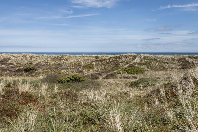 Foto von Ferienhaus TI14 in Sæby - Lyngså - Nordjütland Ost