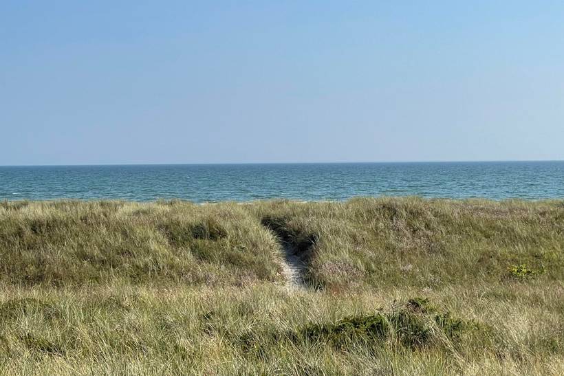 Foto von Ferienhaus TI14 in Sæby - Lyngså - Nordjütland Ost