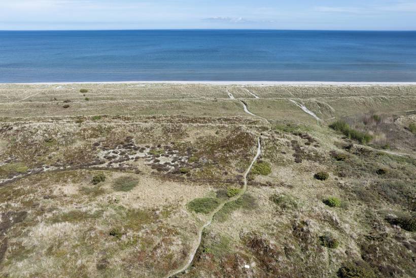 Foto von Ferienhaus TI14 in Sæby - Lyngså - Nordjütland Ost