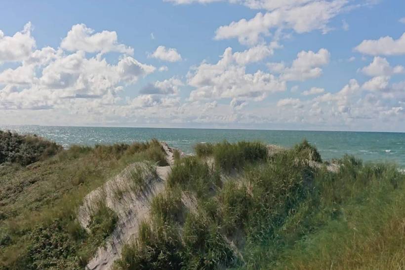 Foto von Ferienhaus TI57 in Blokhus - Nordjütland