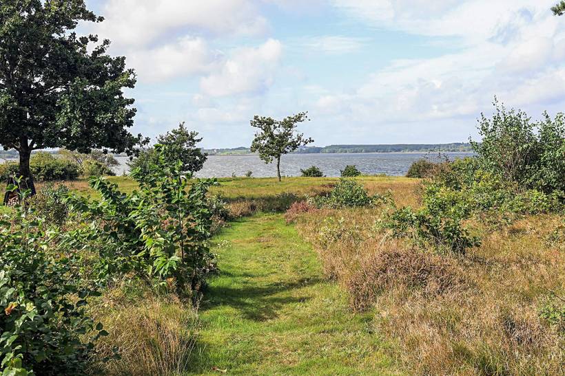 Foto von Ferienhaus TI81 in Lynderup - Thy/Limfjord