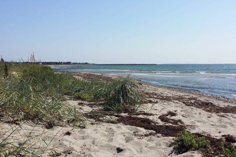Foto von Ferienhaus TI84 auf Karrebæksminde - Enø - Südseeland