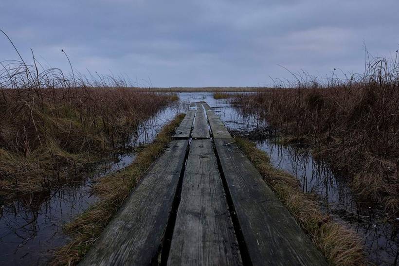 Foto von Ferienhaus TJ11 in Bisnap - Hou - Nordjütland Ost