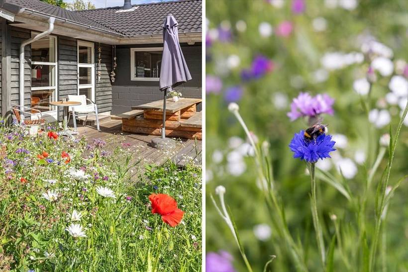 Foto von Ferienhaus TJ64 in Fjellerup - Ostjütland