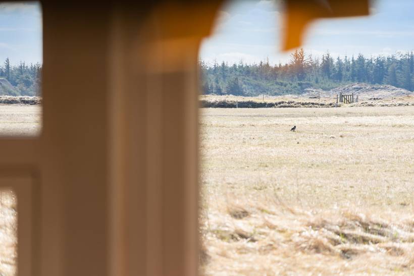 Foto von Ferienhaus TK08 in Rødhus - Blokhus - Nordjütland