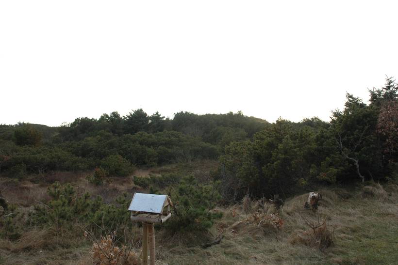 Foto von Ferienhaus TK33 in Grærup - Vejers Strand - Westjütland