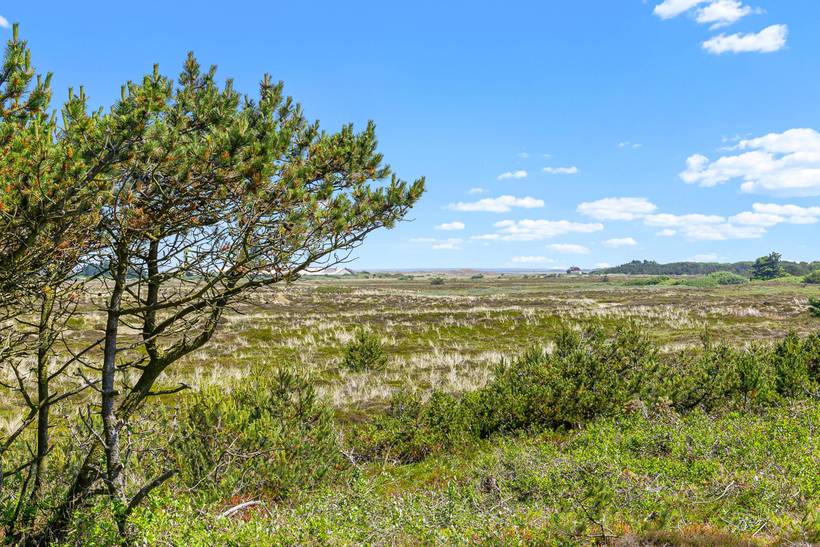 Foto von Ferienhaus TK41 in Bjerregård - Westjütland