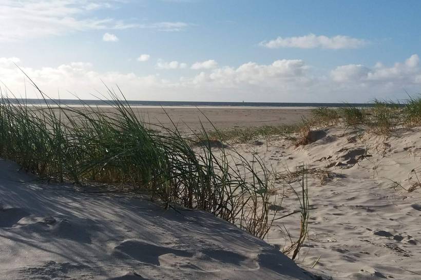 Foto von Ferienhaus TK46 in Fanø Bad - Fanø