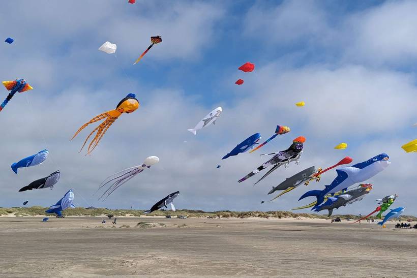 Foto von Ferienhaus TK46 in Fanø Bad - Fanø