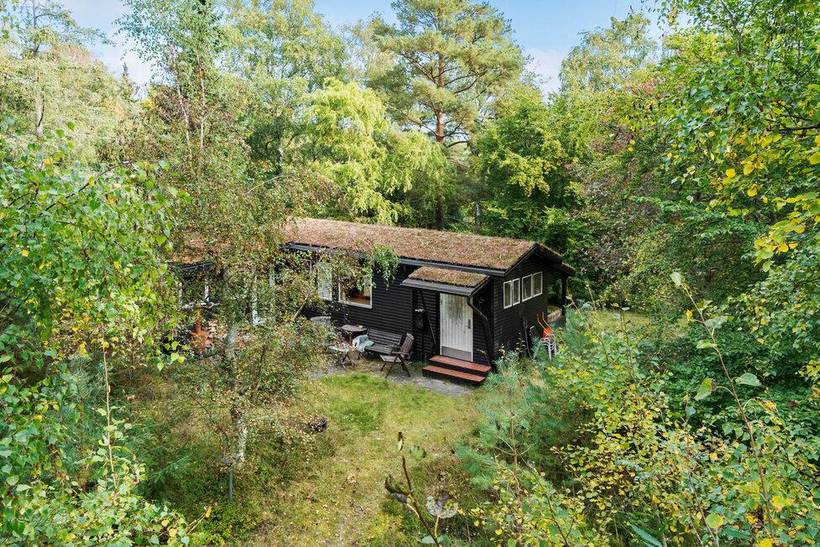 Foto von Ferienhaus TL26 in Ulvshale - Møn
