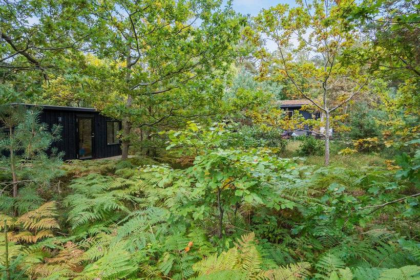 Foto von Ferienhaus TL26 in Ulvshale - Møn