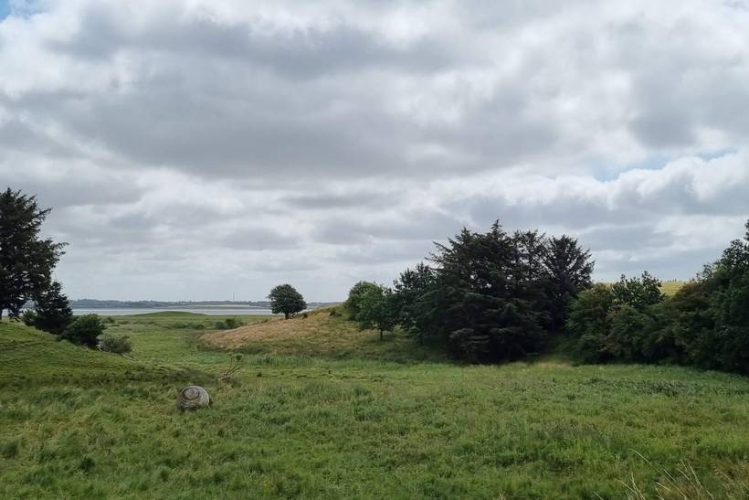 Foto von Ferienhaus TL50 in Helligsø - Thy/Limfjord