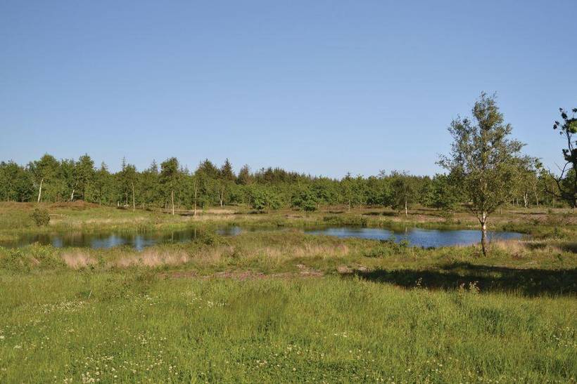Foto von Ferienhaus TL64 in Ertebølle - Thy/Limfjord