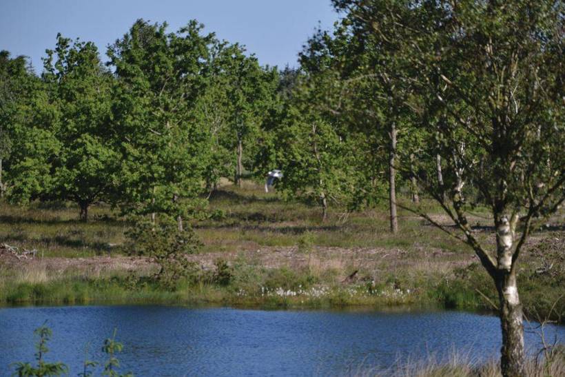 Foto von Ferienhaus TL64 in Ertebølle - Thy/Limfjord