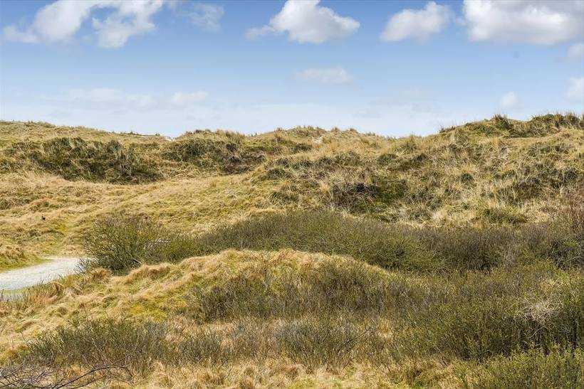 Foto von Ferienhaus TM12 in Rindby - Fanø
