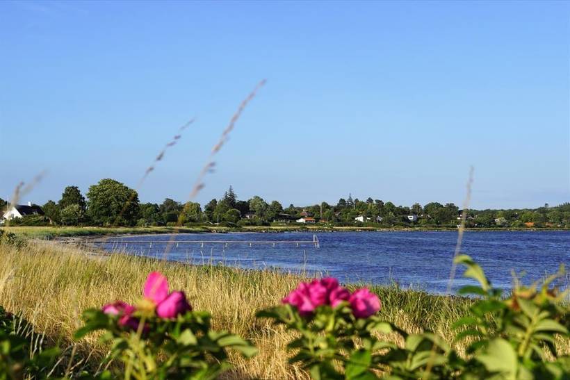 Foto von Ferienhaus TM13 auf Bisserup - Südseeland