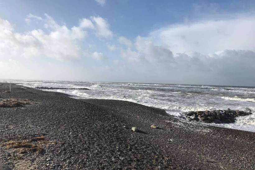 Foto von Ferienhaus TM39 in Skagen - Nordjütland
