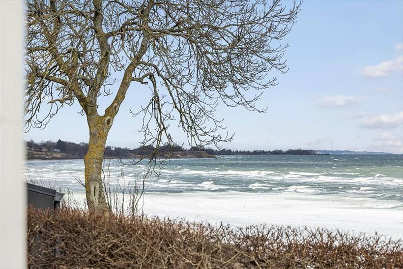 Foto von Ferienhaus TM64 in Saksild - Odder - Ostjütland