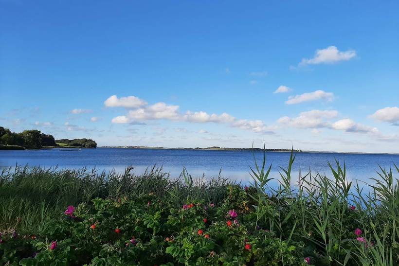 Foto von Ferienhaus TM68 in Doverodde - Thy/Limfjord