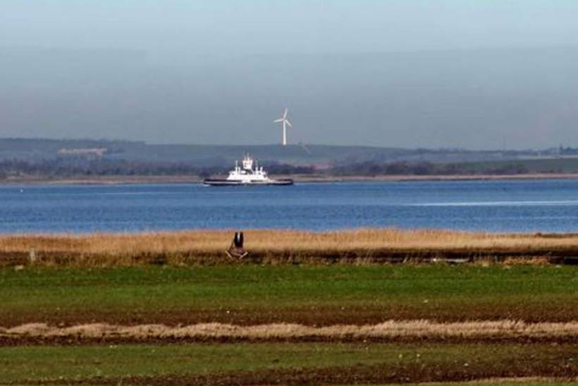Foto von Ferienhaus TM68 in Doverodde - Thy/Limfjord