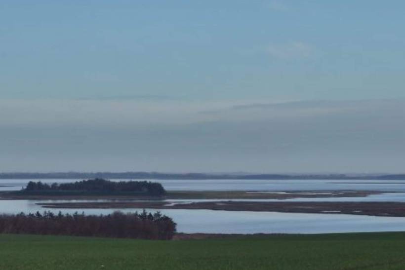 Foto von Ferienhaus TM68 in Doverodde - Thy/Limfjord