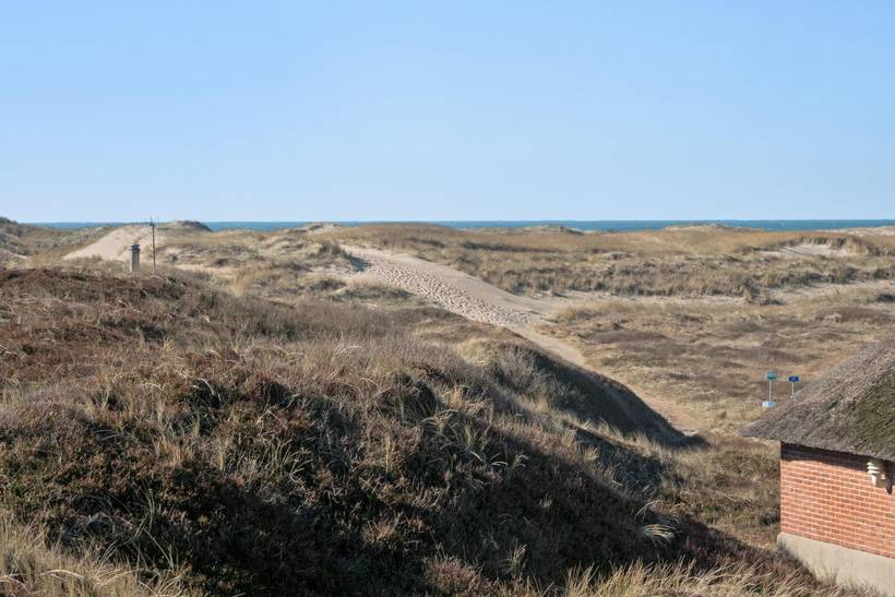 Foto von Ferienhaus TM72 in Vejlby Klit - Westjütland