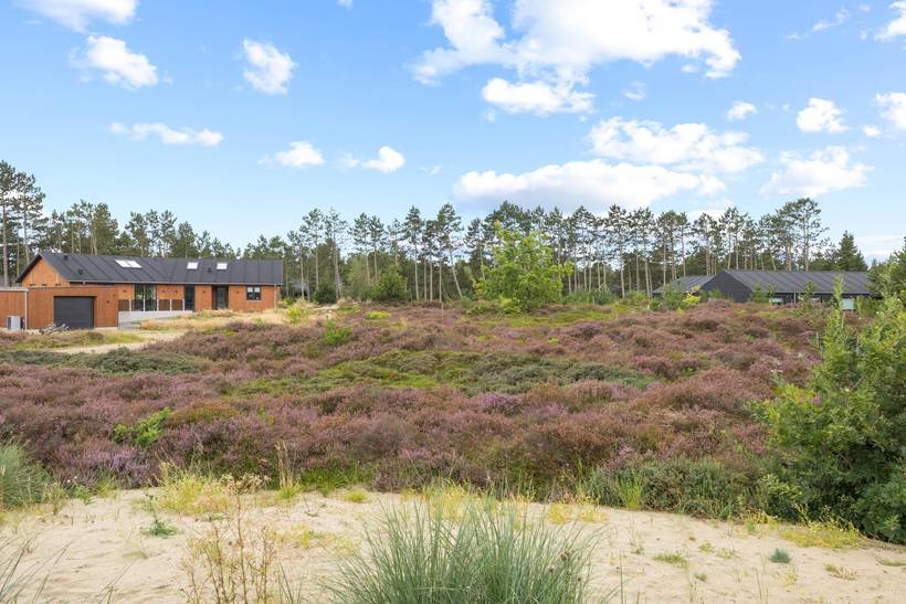Foto von Ferienhaus TN51 in Kromose - Rømø