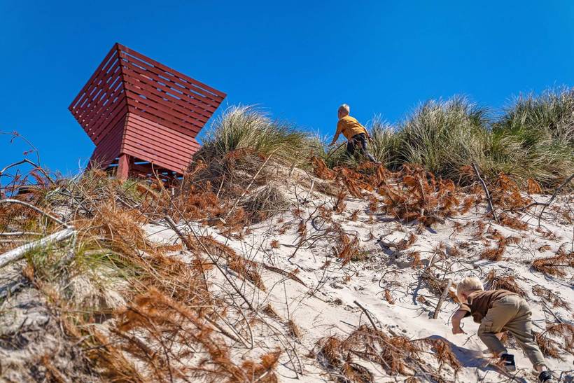 Foto von Ferienhaus TN54 in Blokhus - Nordjütland