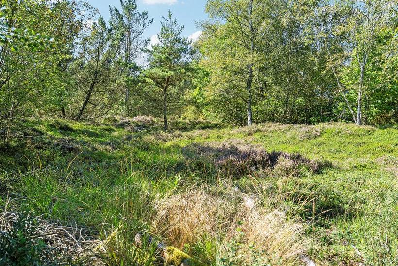Foto von Ferienhaus TN55 in Lyngså - Nordjütland Ost