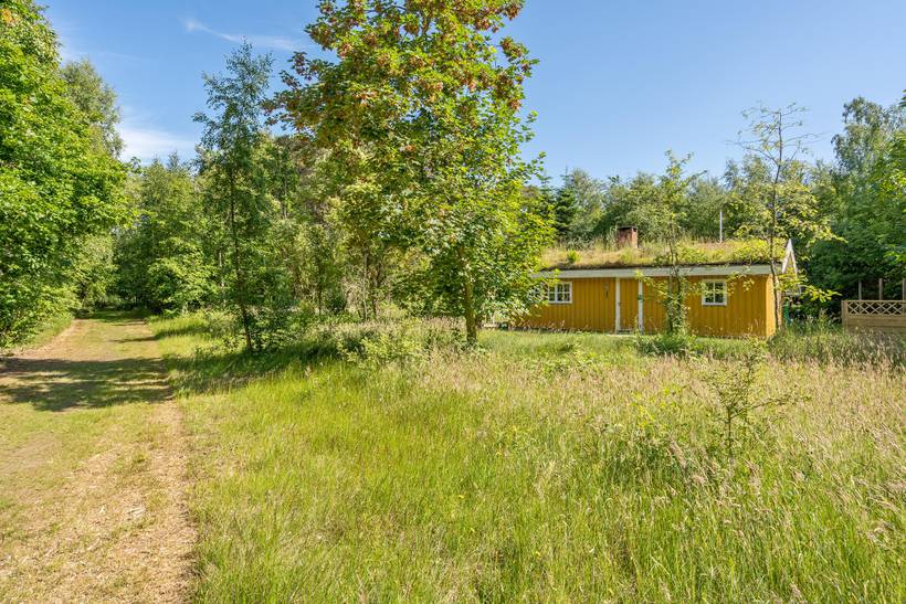 Foto von Ferienhaus TN60 in Vesterø - Læsø
