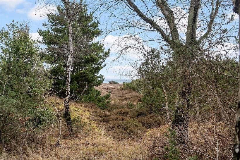 Foto von Ferienhaus TN68 in Mårup - Samsø