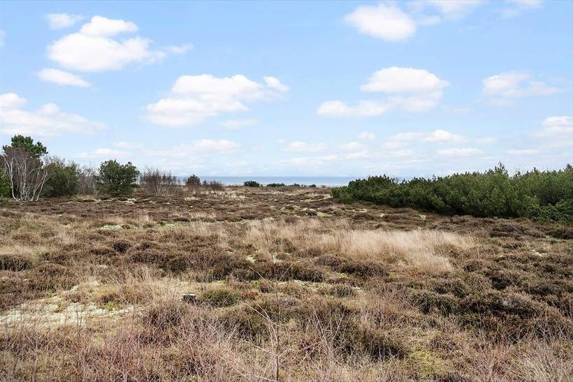 Foto von Ferienhaus TN68 in Mårup - Samsø