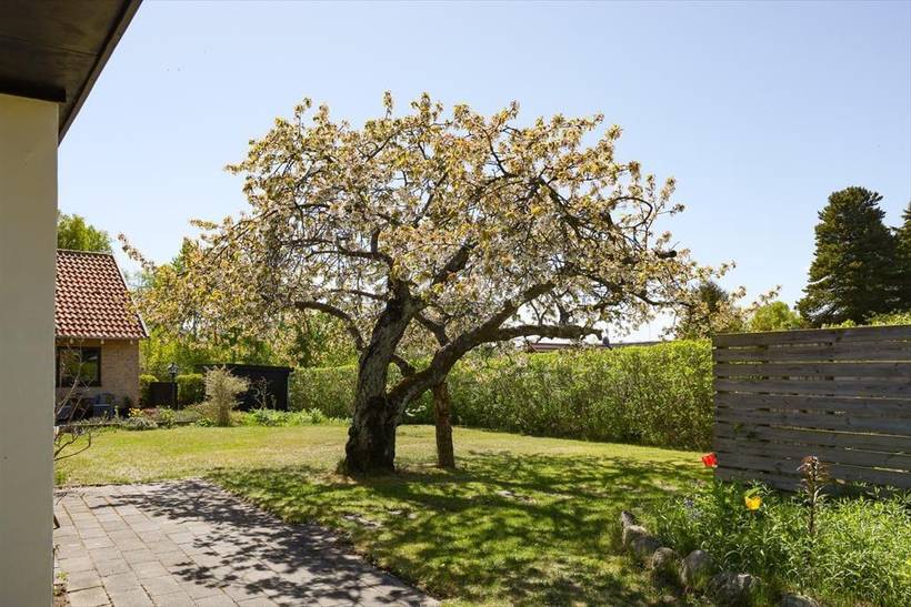 Foto von Ferienhaus TN74 in Rørvig - Westseeland