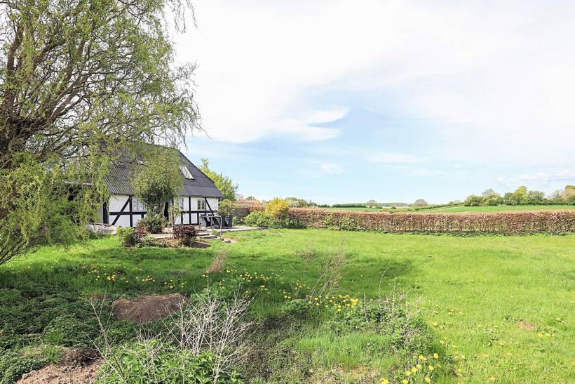 Foto von Ferienhaus TN79 auf Snøde - Langeland