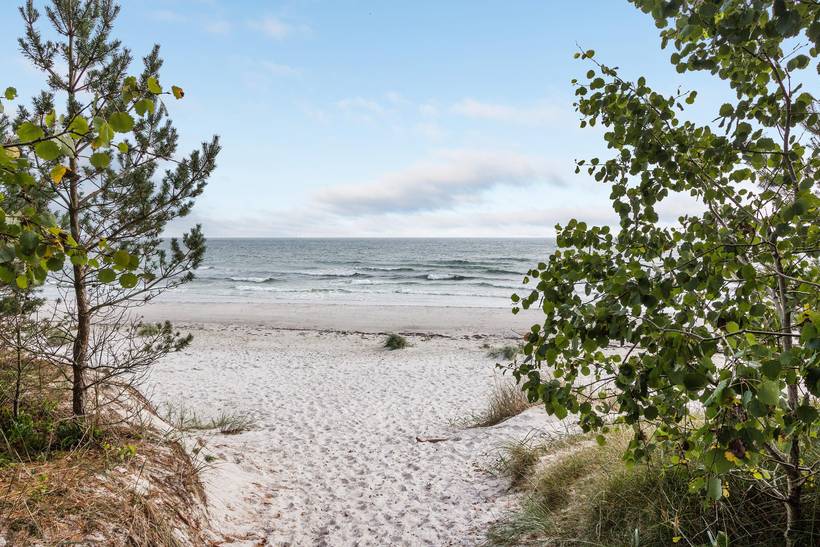 Foto von Ferienhaus TN80 in Dueodde - Bornholm