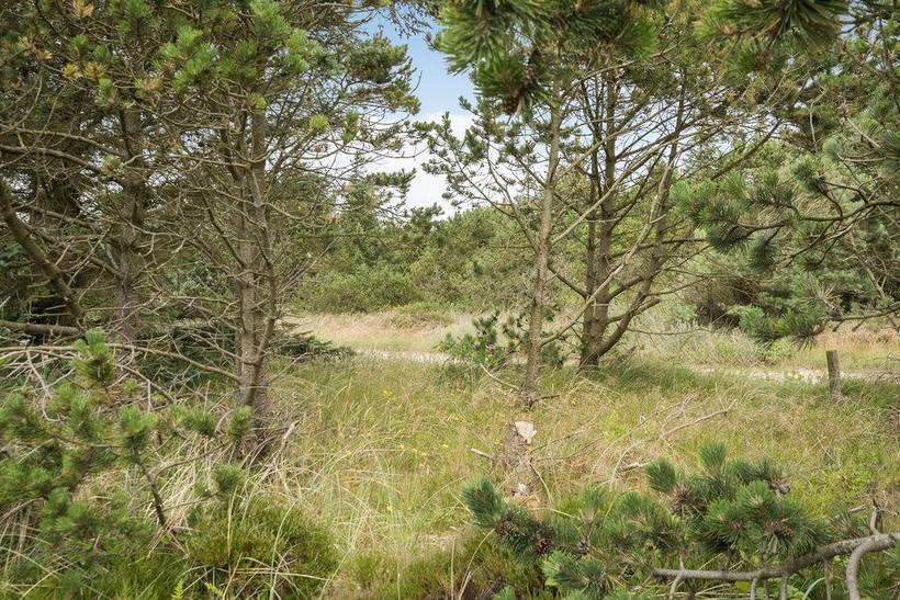 Foto von Ferienhaus TO10 in Blåvand - Westjütland