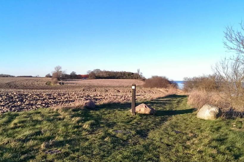 Foto von Ferienhaus TO26 in Marielyst - Falster