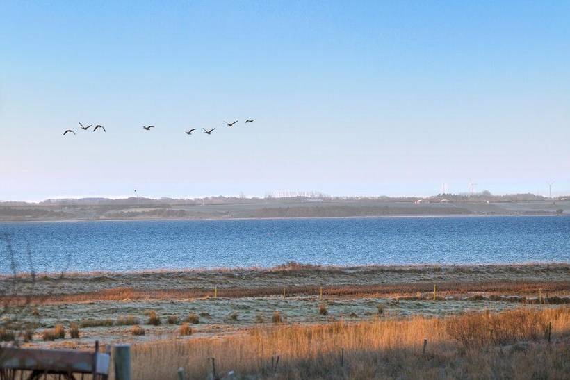 Foto von Ferienhaus TO31 in Risgårde - Thy/Limfjord