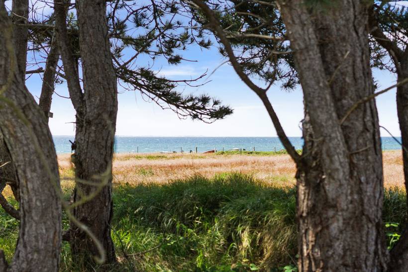 Foto von Ferienhaus TO54 in Sjællands Odde - Westseeland
