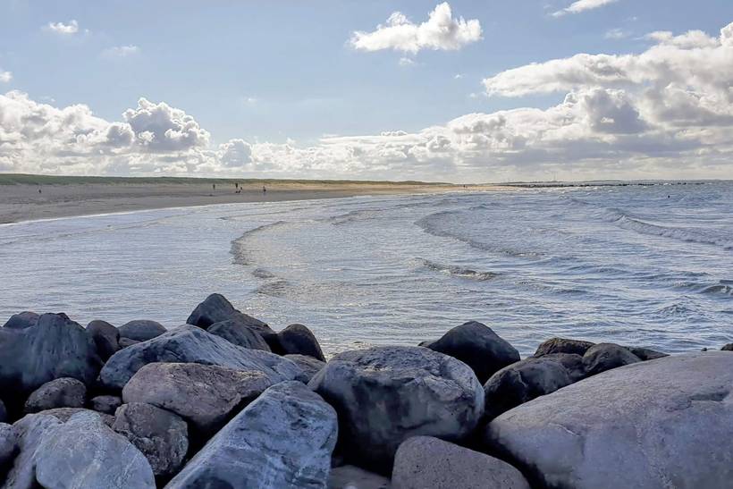 Foto von Ferienhaus TP19 in Blåvand - Westjütland