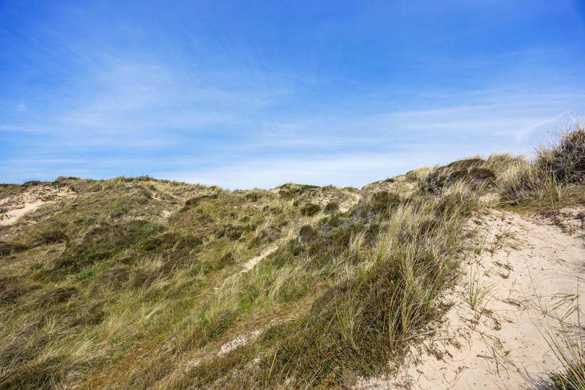 Foto von Ferienhaus TP31 in Rindby - Fanø