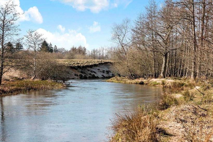 Foto von Ferienhaus TP81 in Skarrild - Westjütland