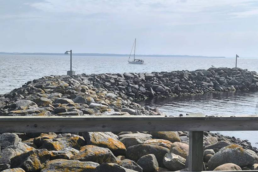 Foto von Ferienhaus TP94 in Jegindø - Thy/Limfjord
