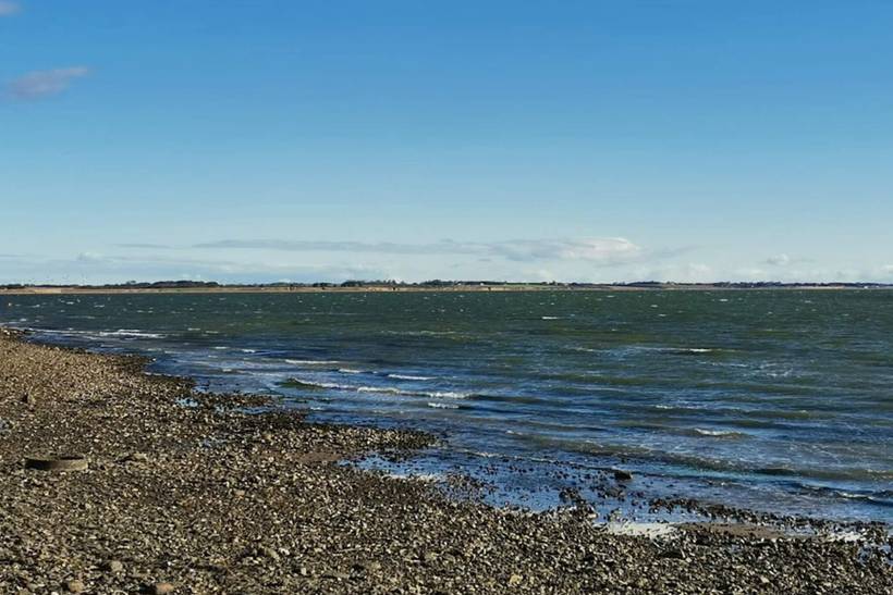 Foto von Ferienhaus TP94 in Jegindø - Thy/Limfjord