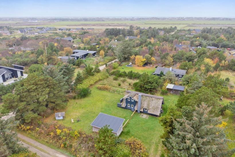 Foto von Ferienhaus TP99 in Lodbjerg Hede - Søndervig - Westjütland