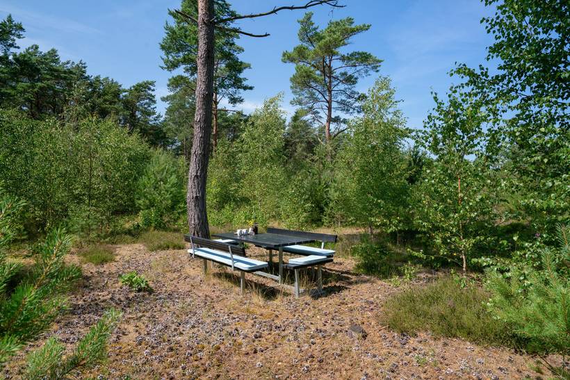 Foto von Ferienhaus TQ56 in Østerby - Læsø