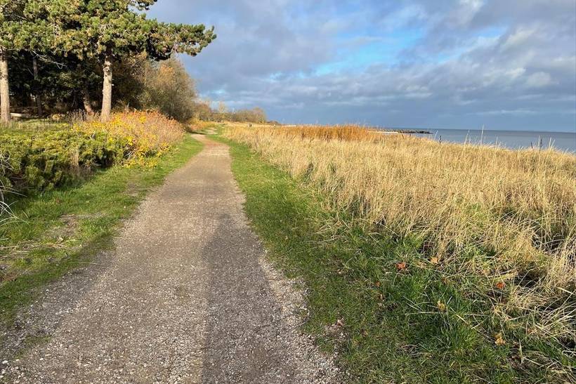 Foto von Ferienhaus TR08 in Amstrup - Odder - Ostjütland