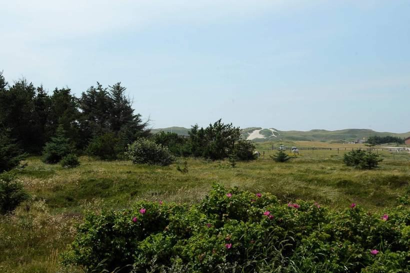 Foto von Ferienhaus TR33 in Haurvig - Årgab - Westjütland