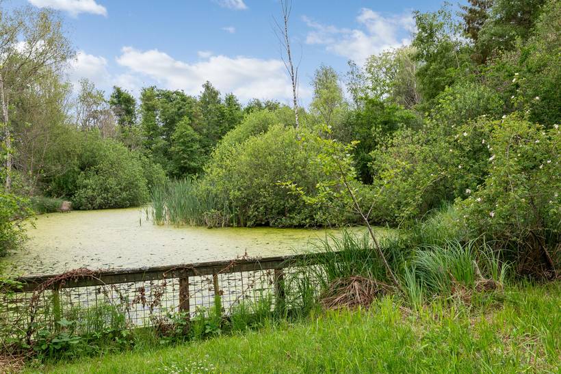 Foto von Ferienhaus TR73 in Ebeltoft - Ostjütland